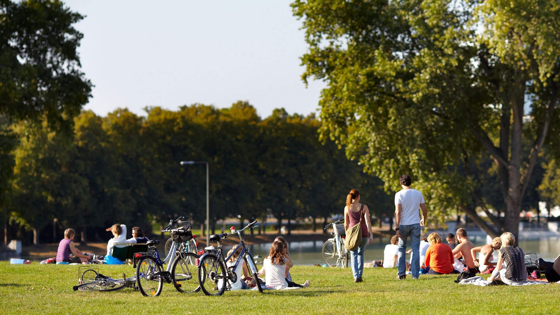 Aachener Weiher in the summer. Everything is green, and people are relaxing on the lawn.