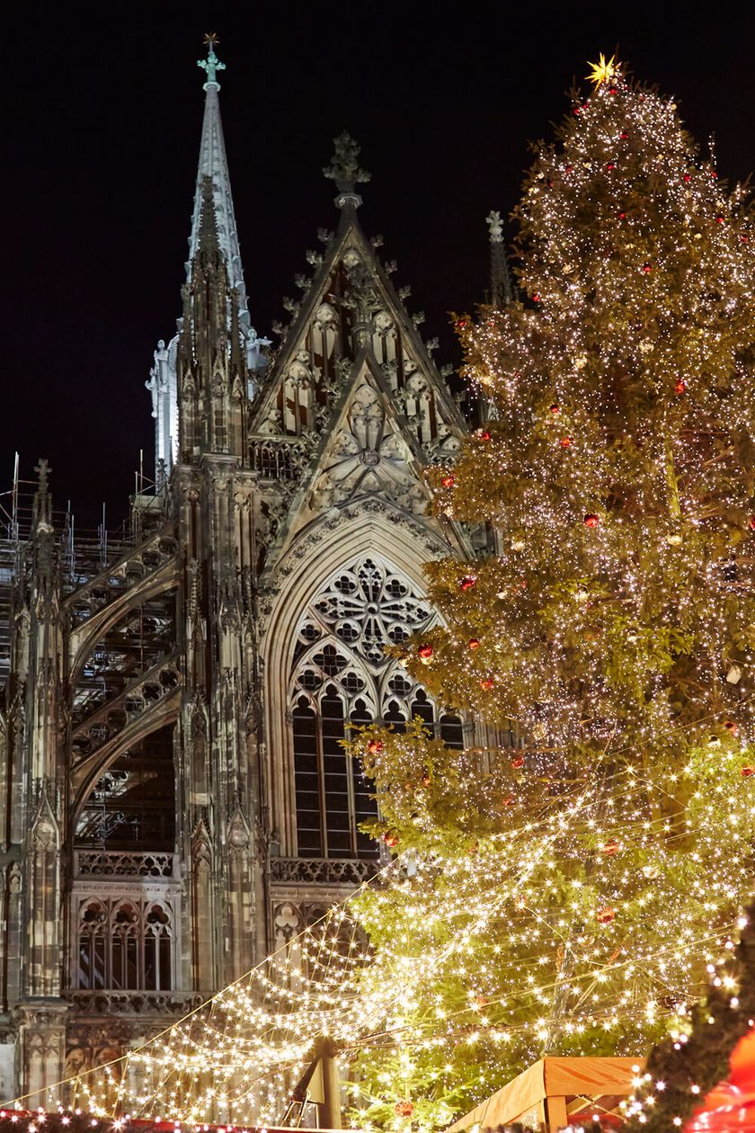 A tree decorated with fairy lights in front of Cologne Cathedral.